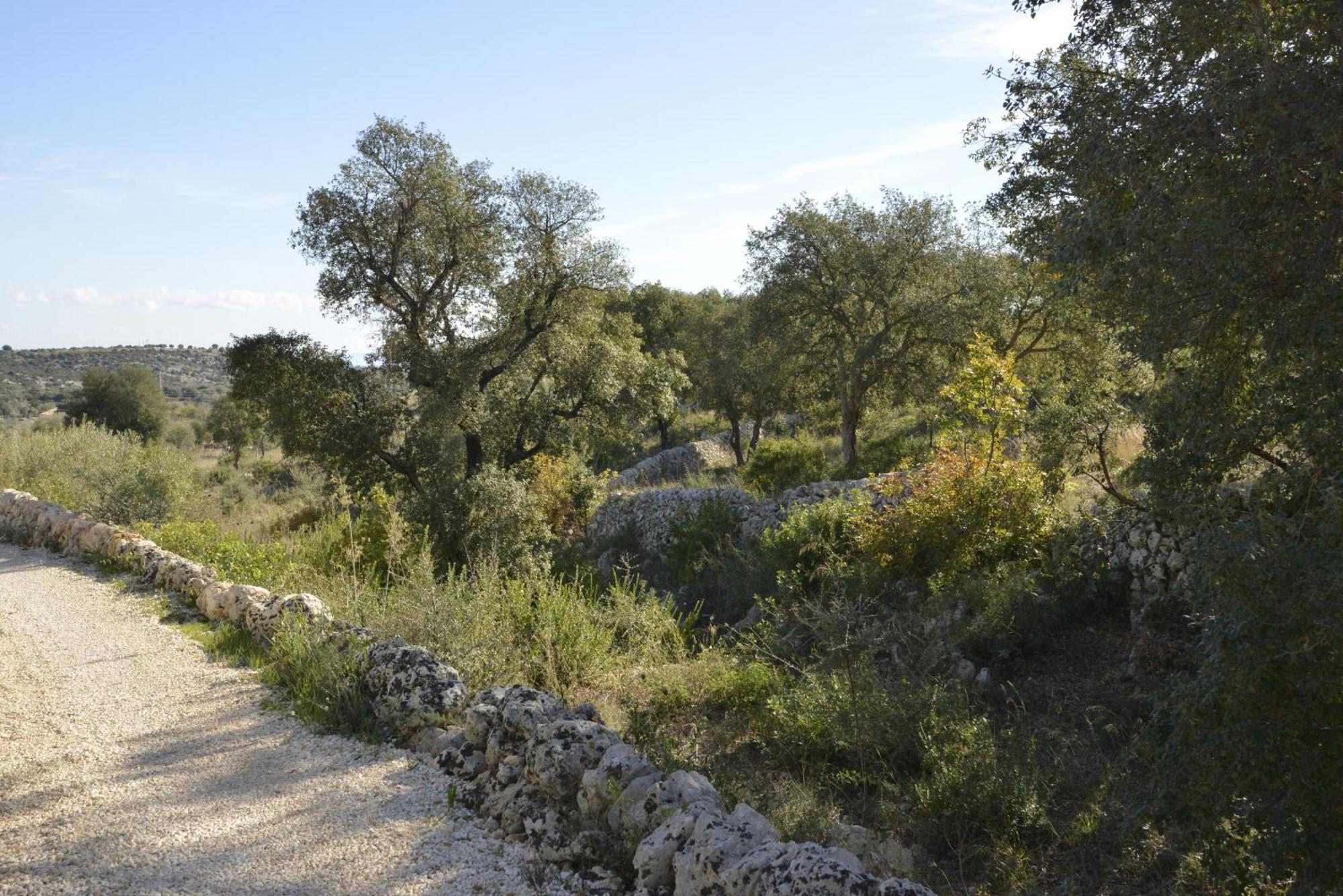 Casa Imayah Charming B&B Noto Esterno foto