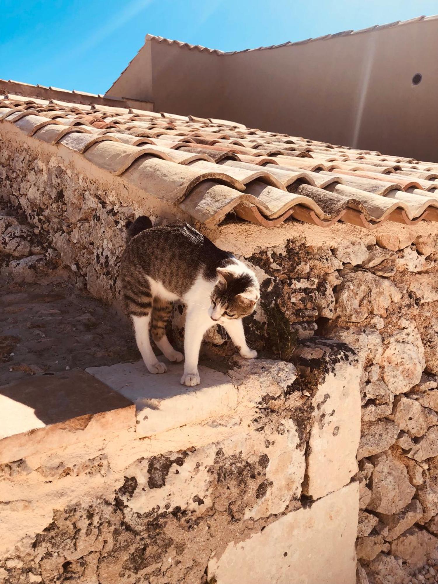 Casa Imayah Charming B&B Noto Esterno foto