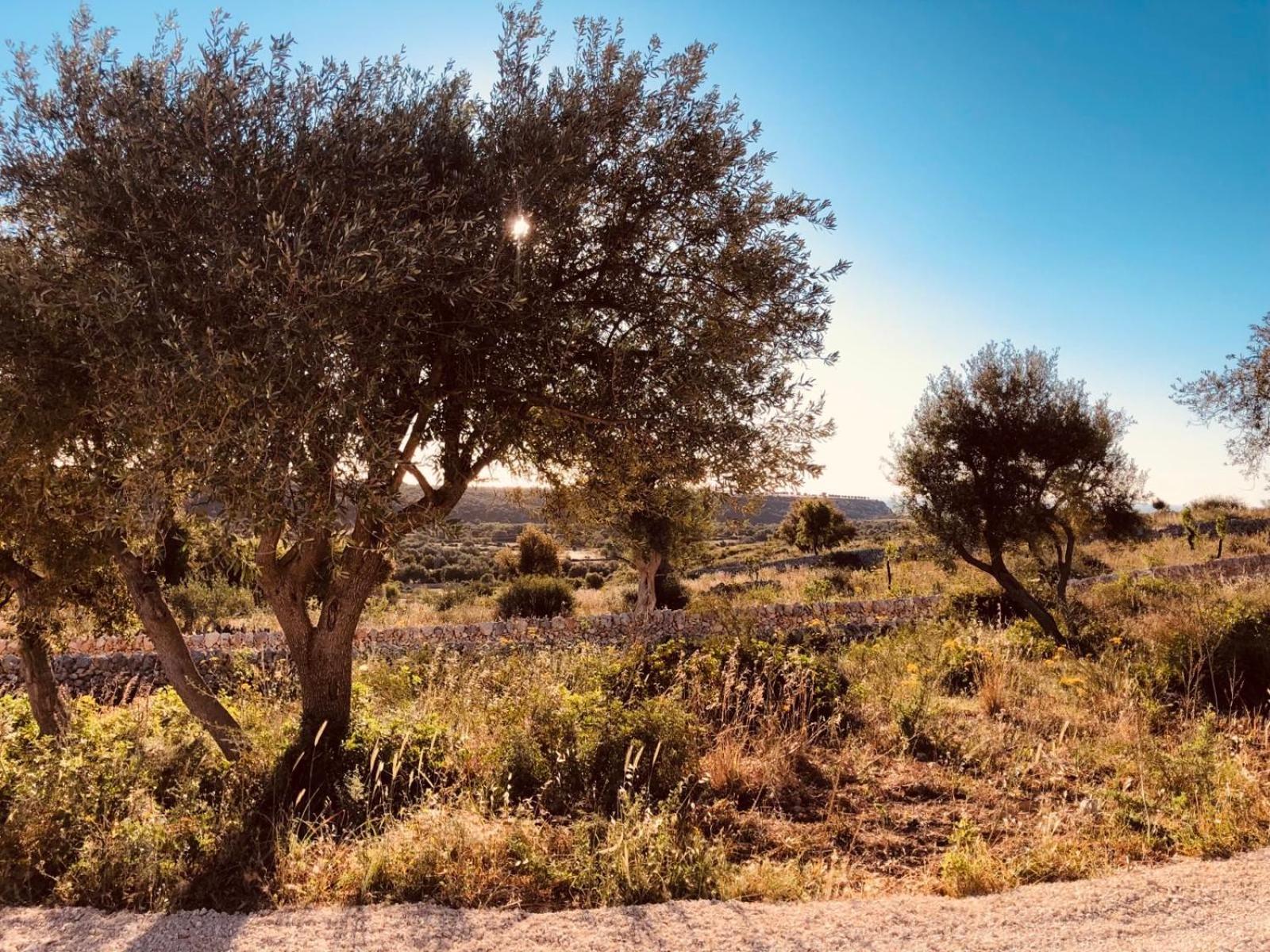 Casa Imayah Charming B&B Noto Esterno foto