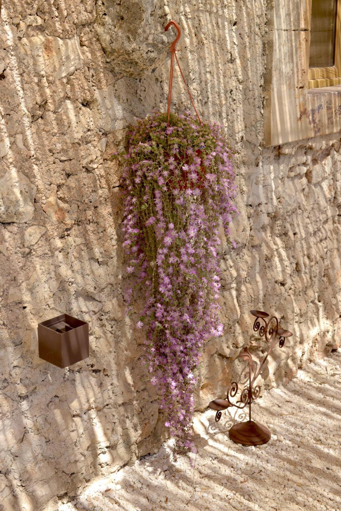 Casa Imayah Charming B&B Noto Esterno foto